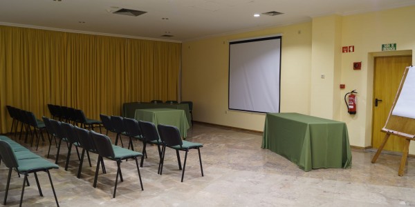 hotel-dom-dinis135auditorio