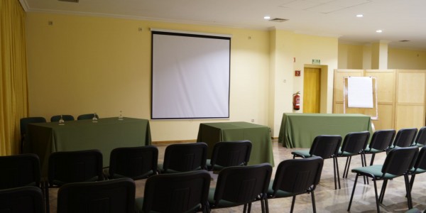 hotel-dom-dinis137auditorio