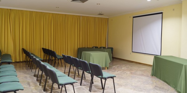 hotel-dom-dinis138auditorio