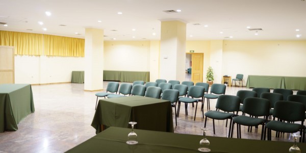 hotel-dom-dinis140auditorio